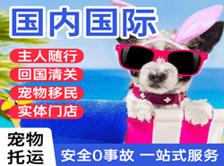 西宁航空货运国际宠物托运 【国